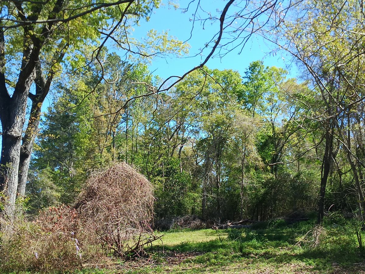 Nature trail restoration progress