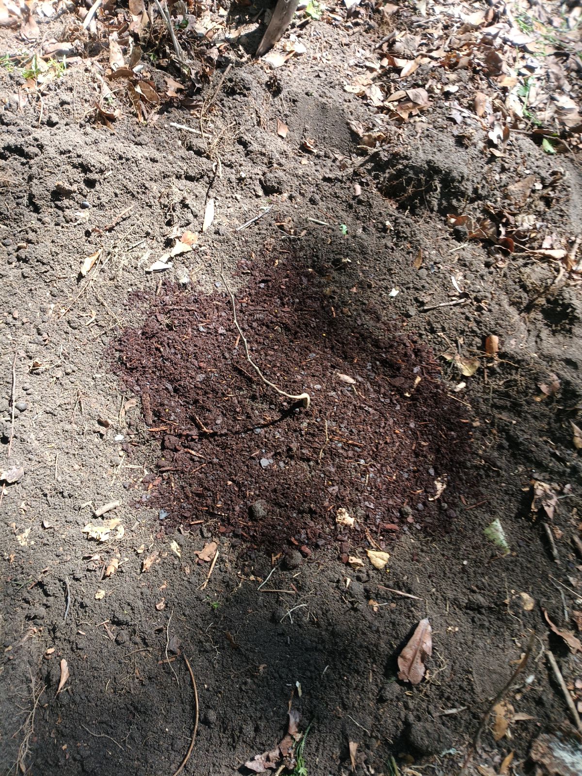 Nature trail restoration progress