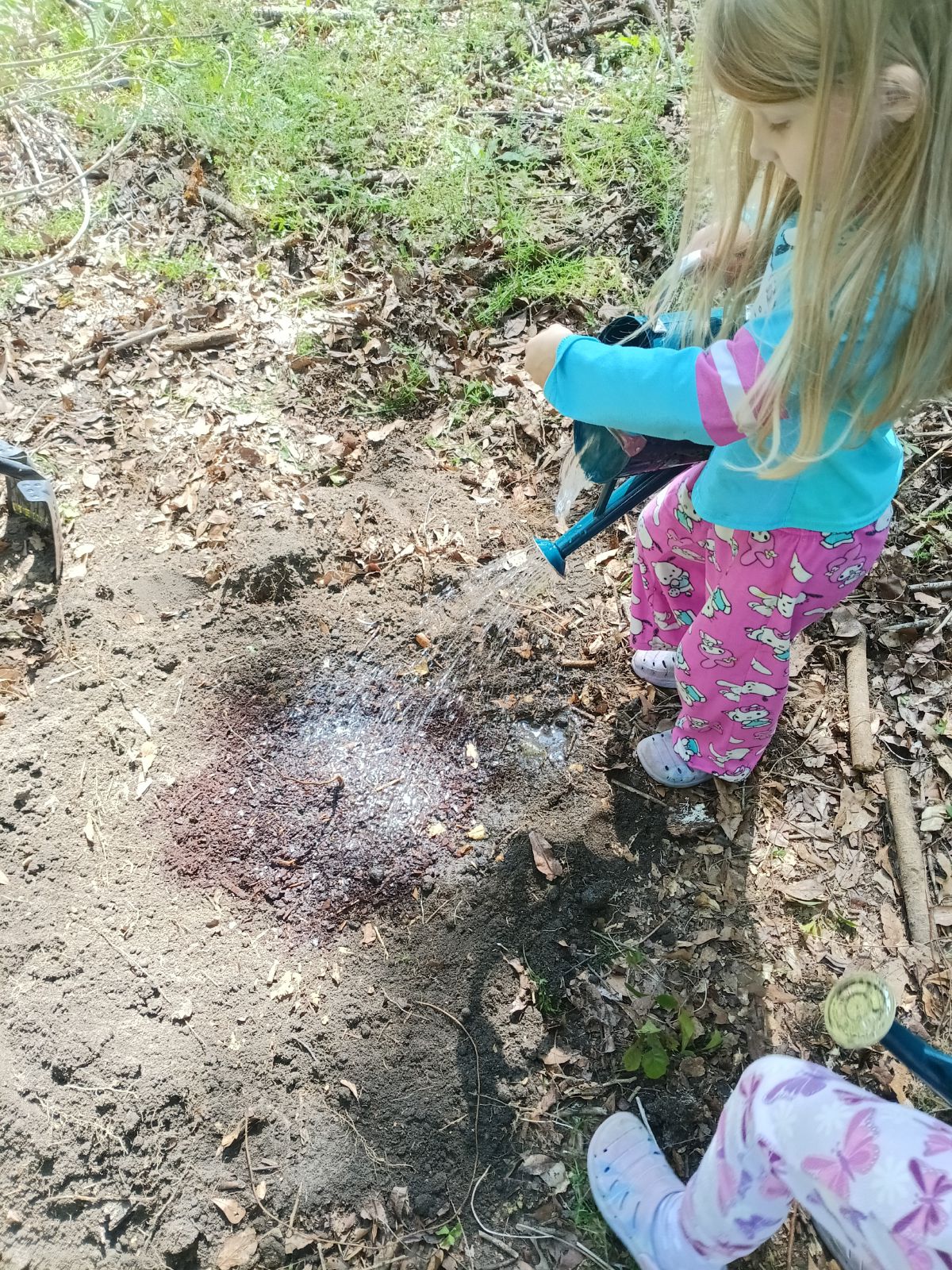 Nature trail restoration progress