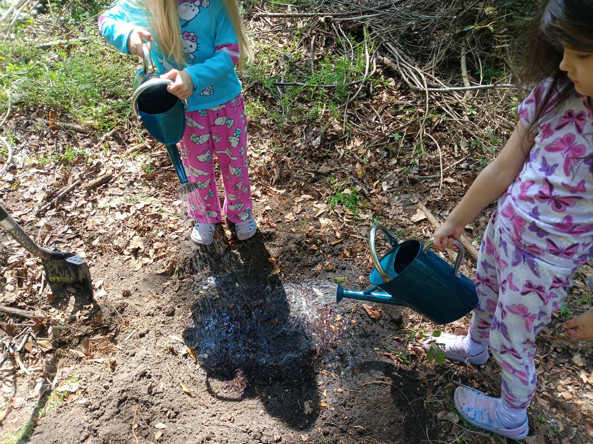 Nature trail restoration progress