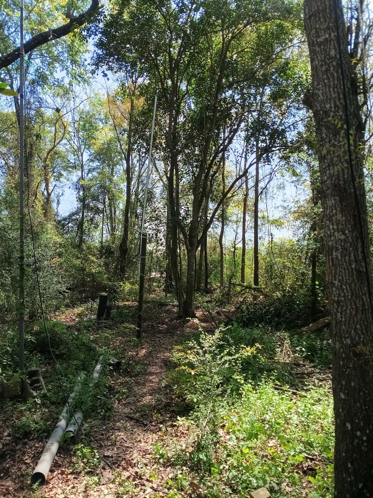 Nature trail restoration progress
