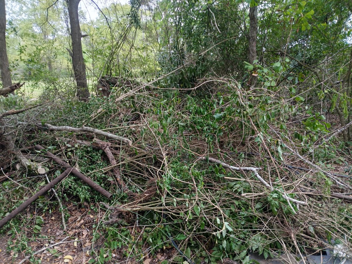 Nature trail restoration progress