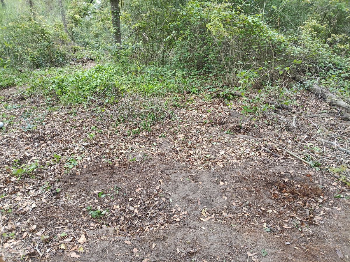 Nature trail restoration progress