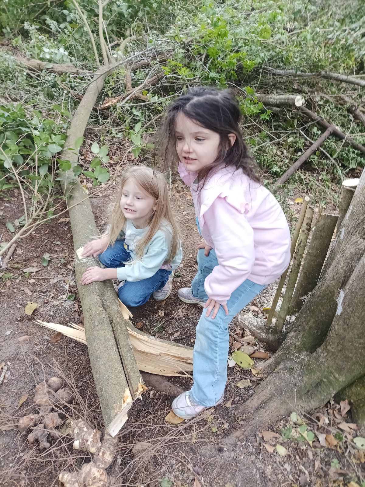 Nature trail restoration progress