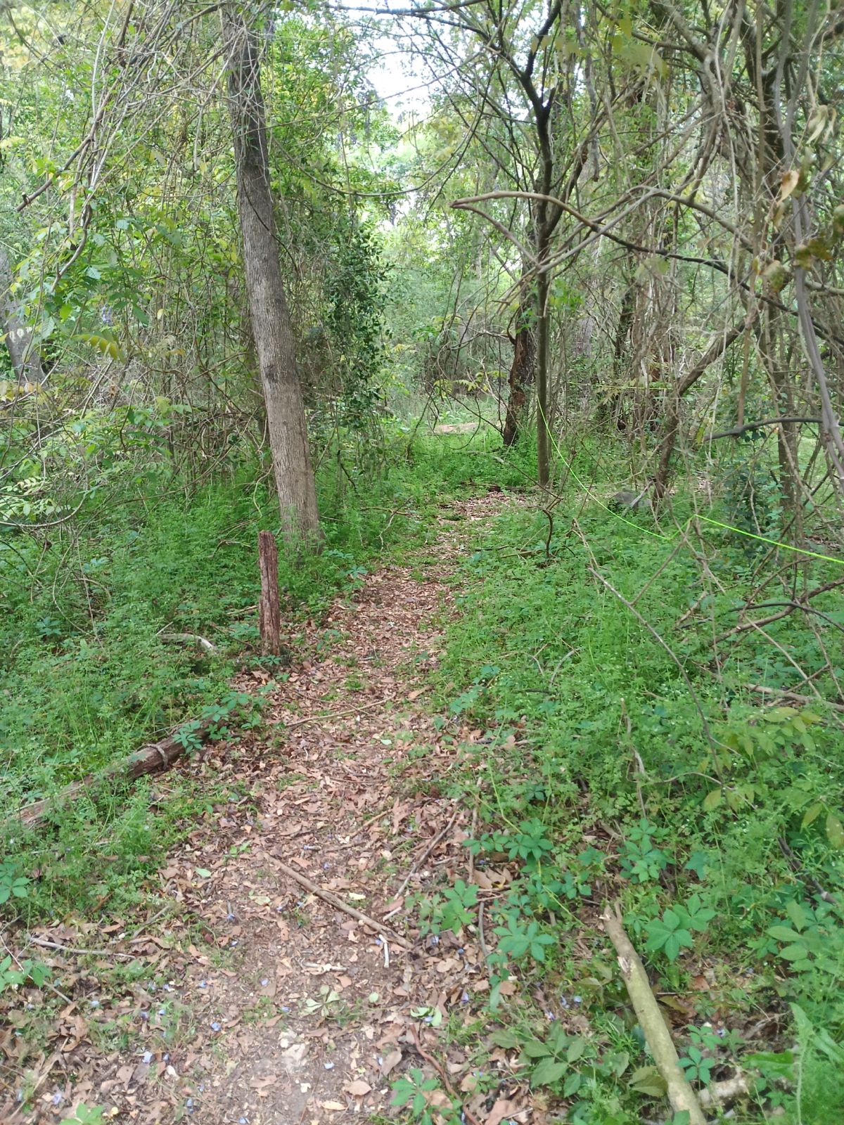 Nature trail restoration progress