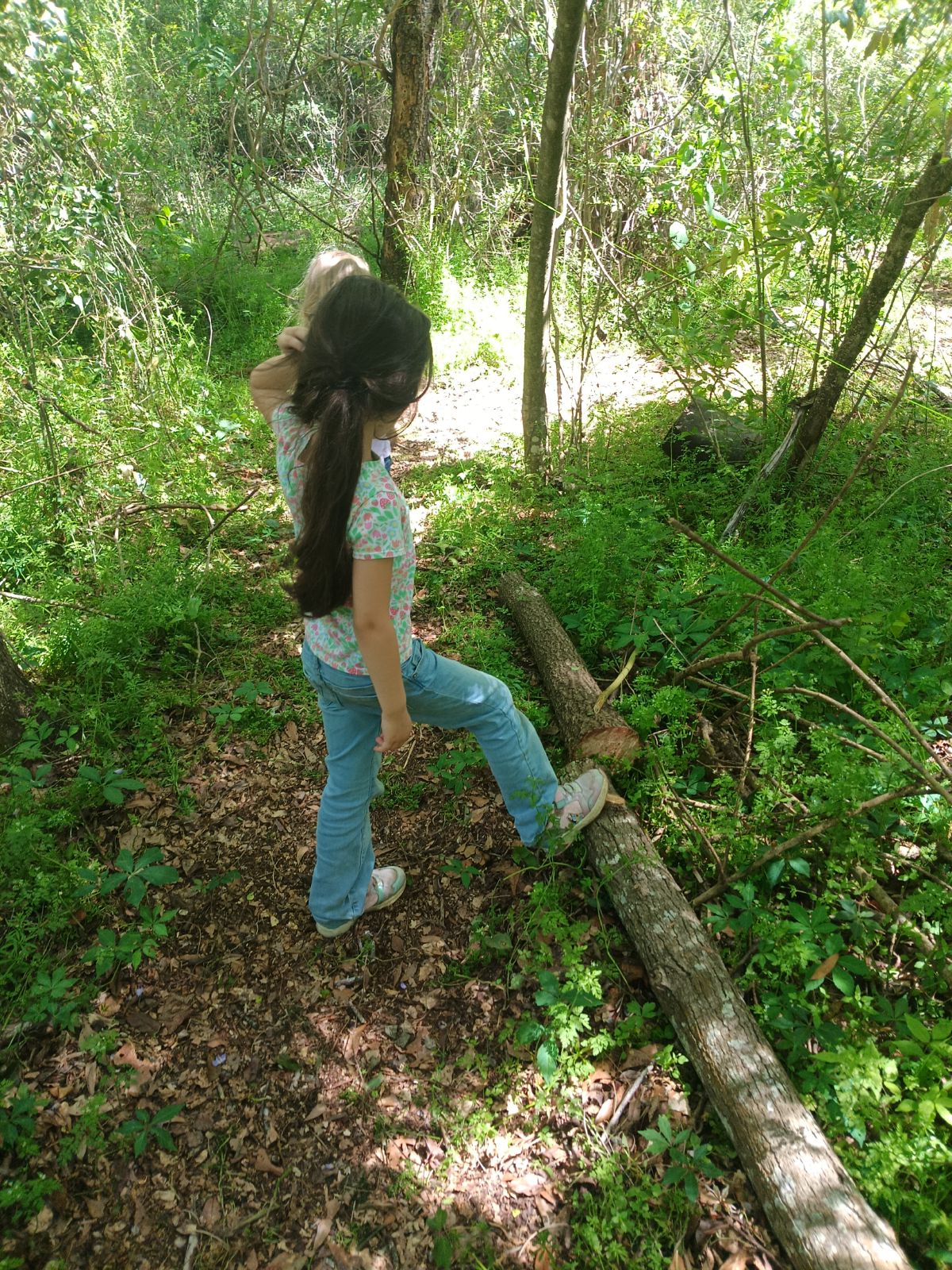 Nature trail restoration progress
