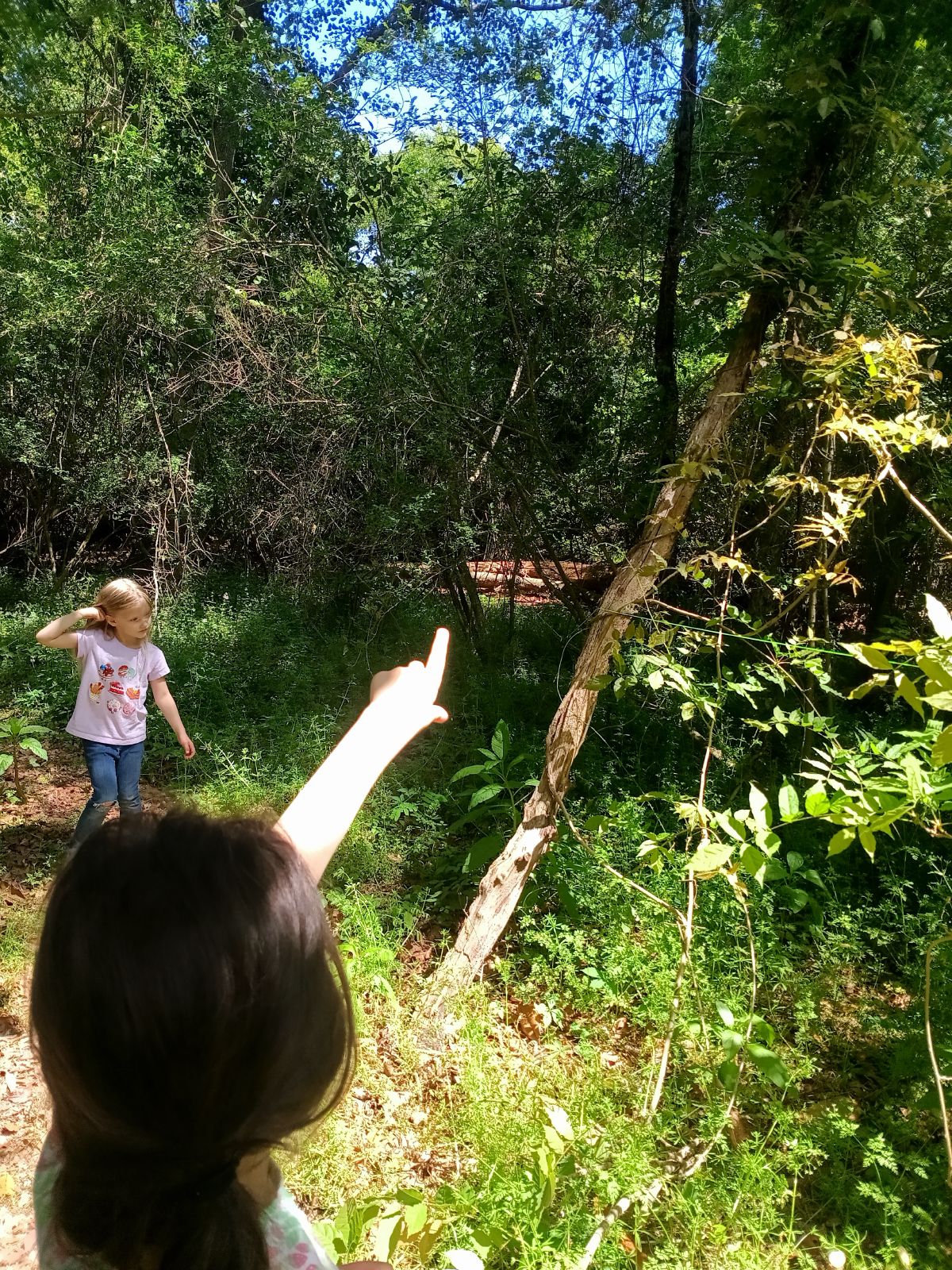 Nature trail restoration progress
