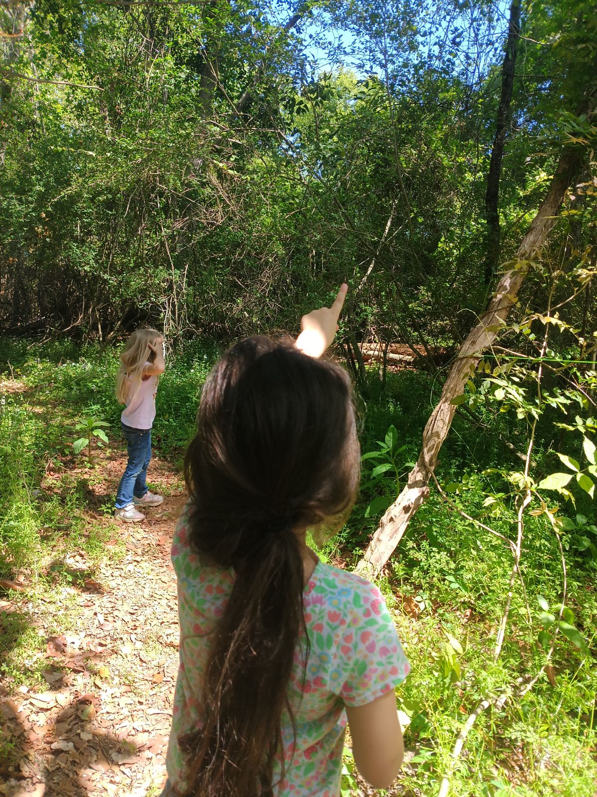 Nature trail restoration progress