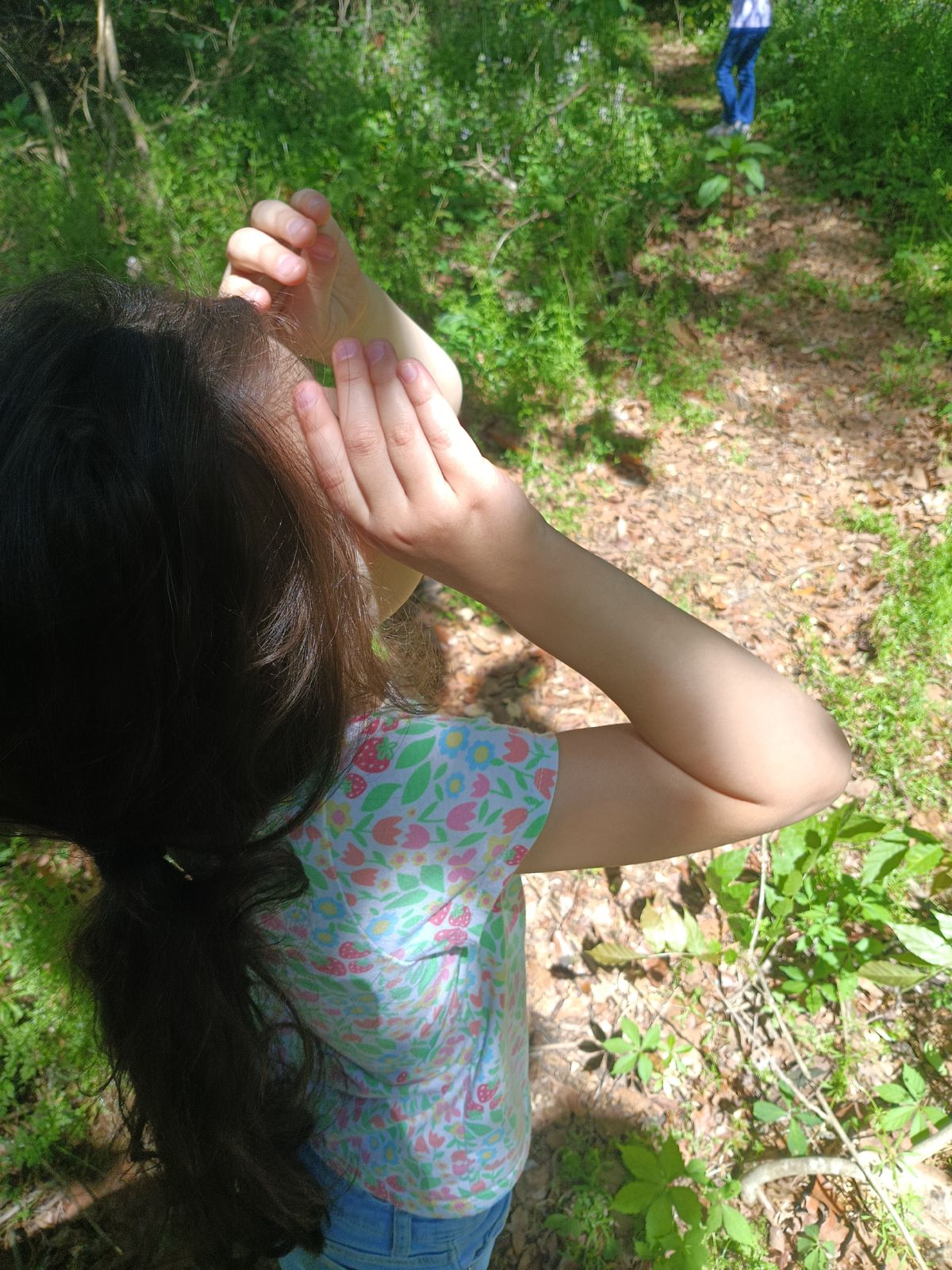 Nature trail restoration progress