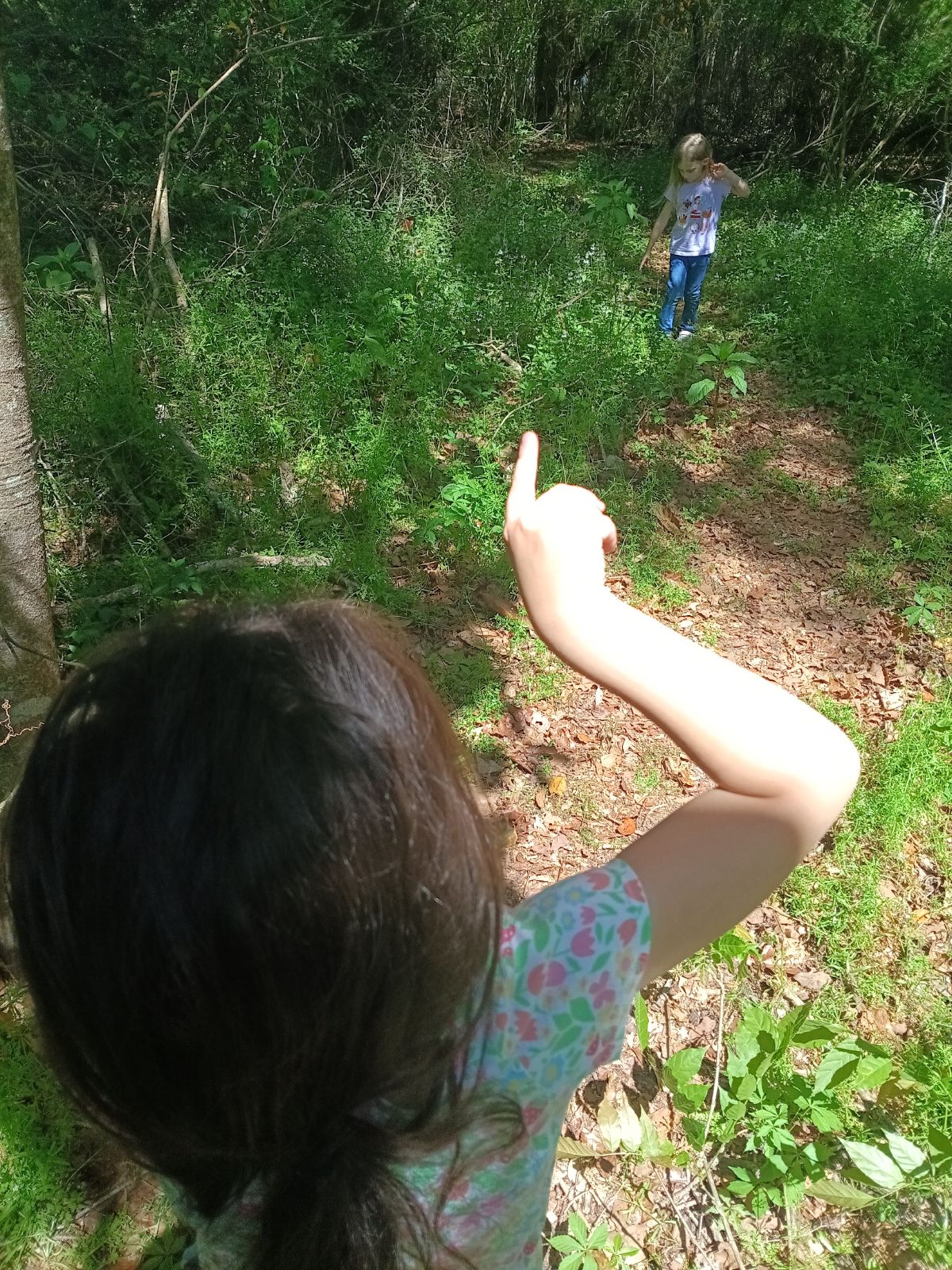 Nature trail restoration progress