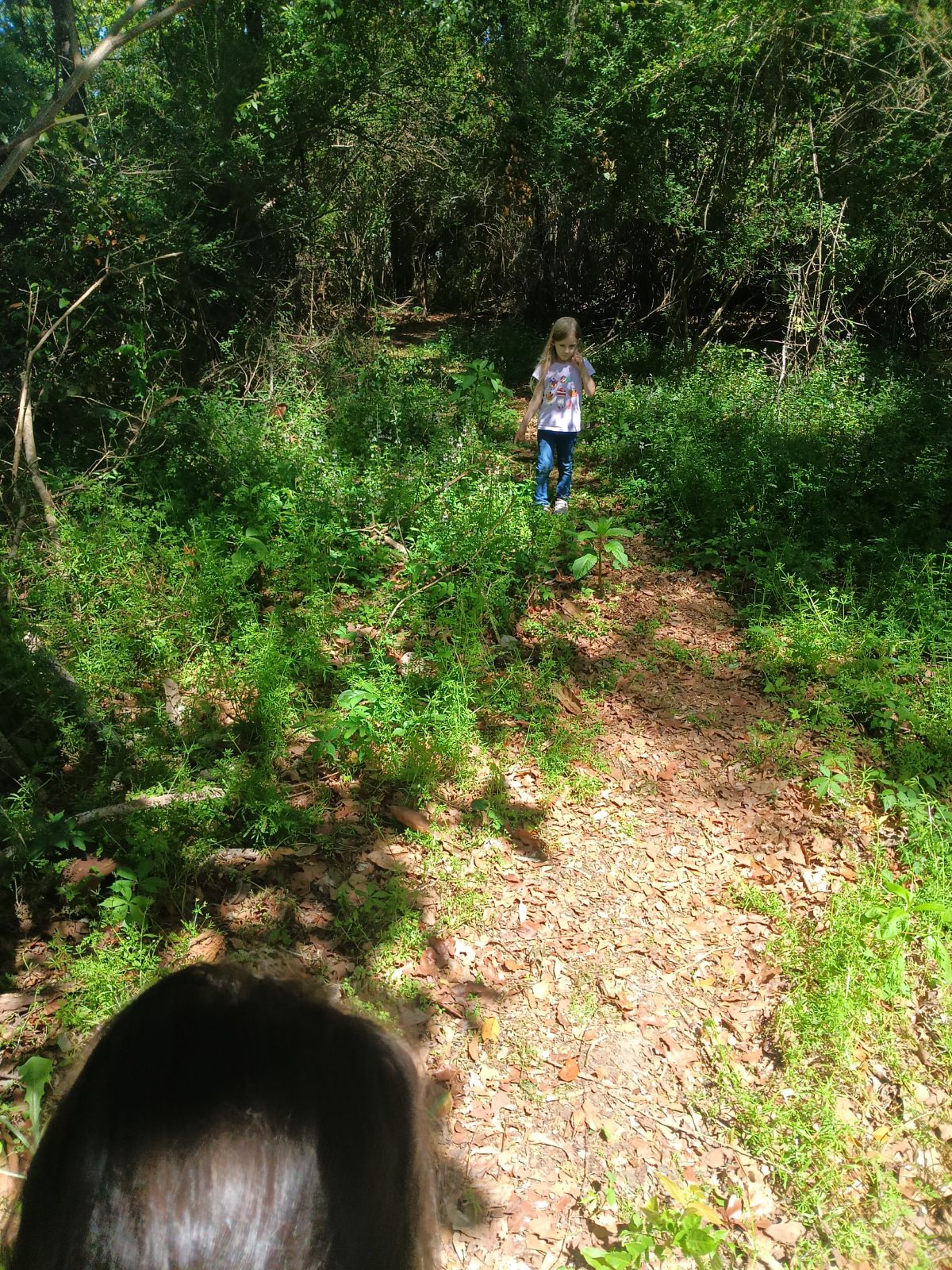 Nature trail restoration progress