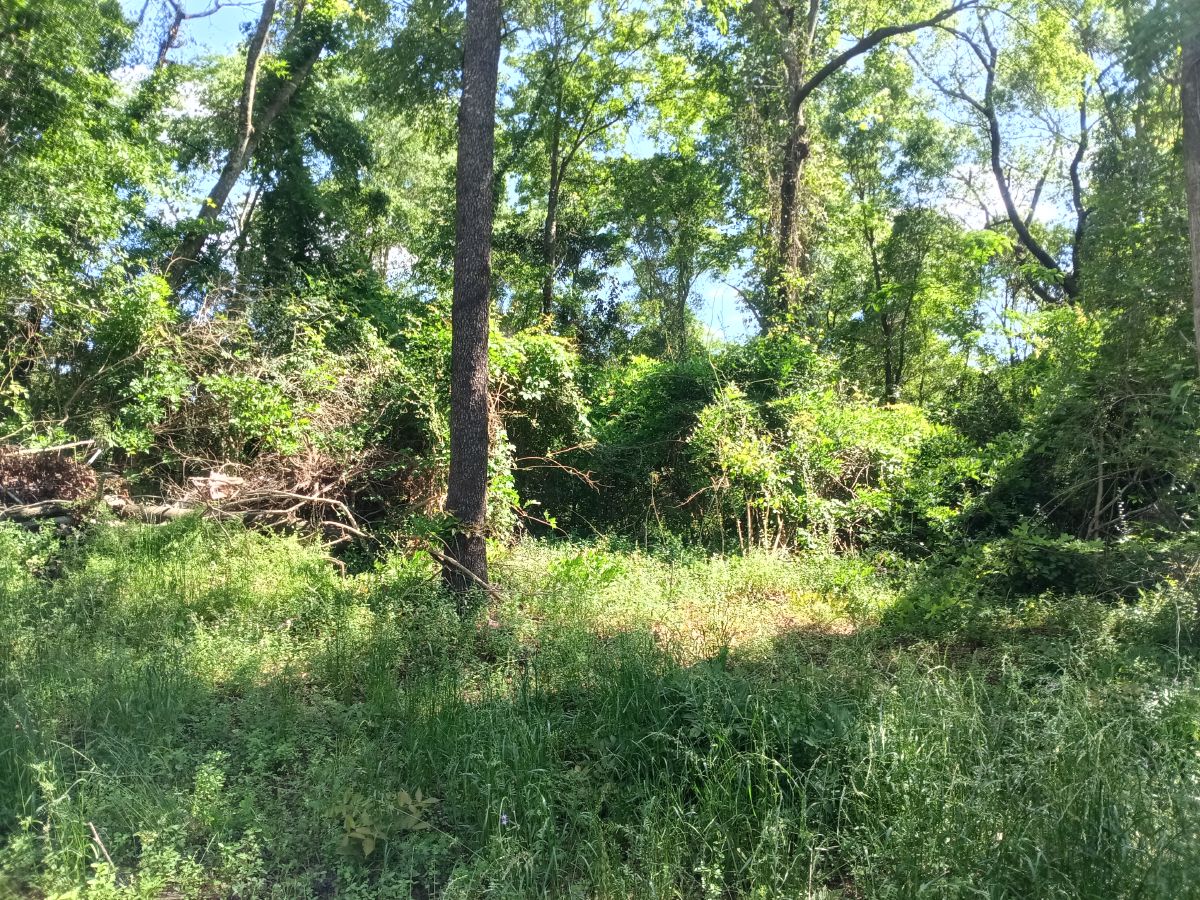 Nature trail restoration progress