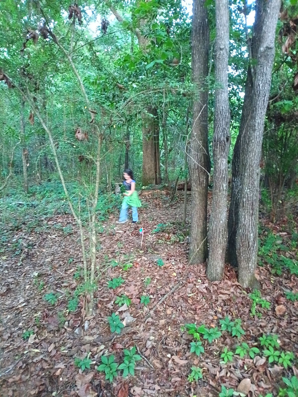 Nature trail restoration progress