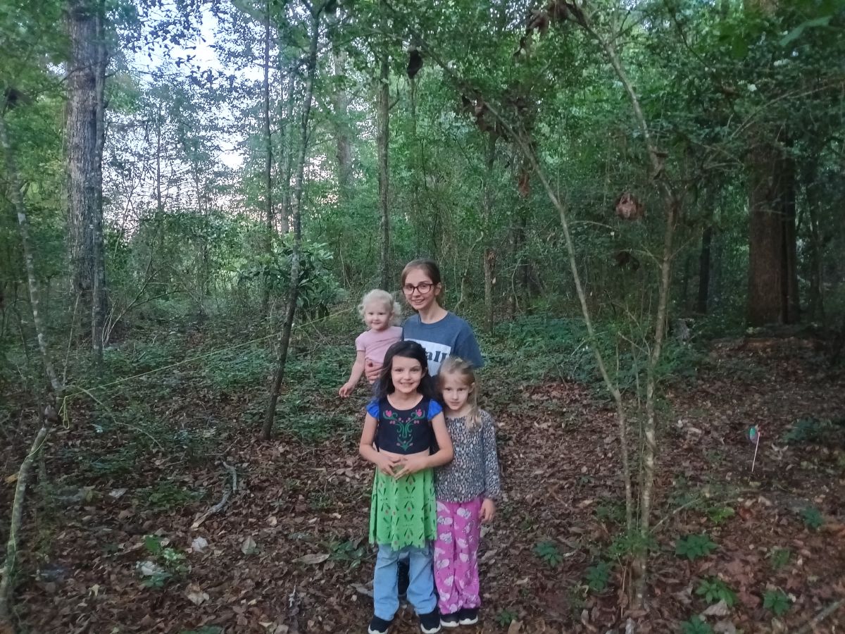Nature trail restoration progress