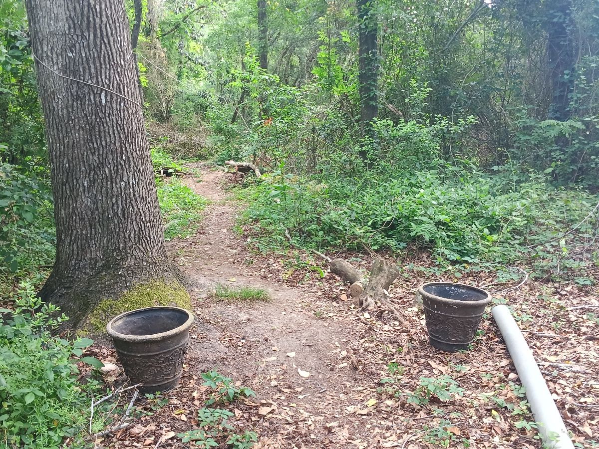 Nature trail restoration progress