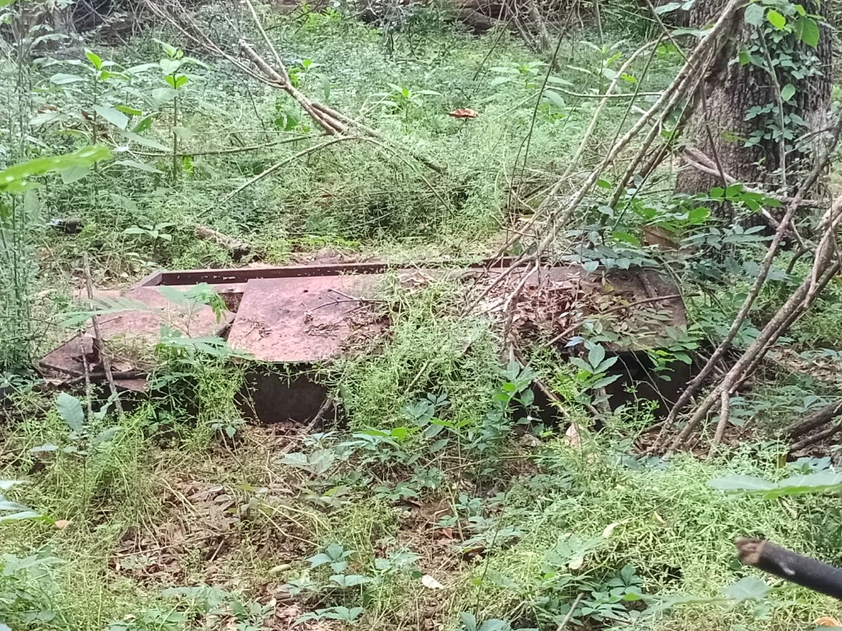 Nature trail restoration progress