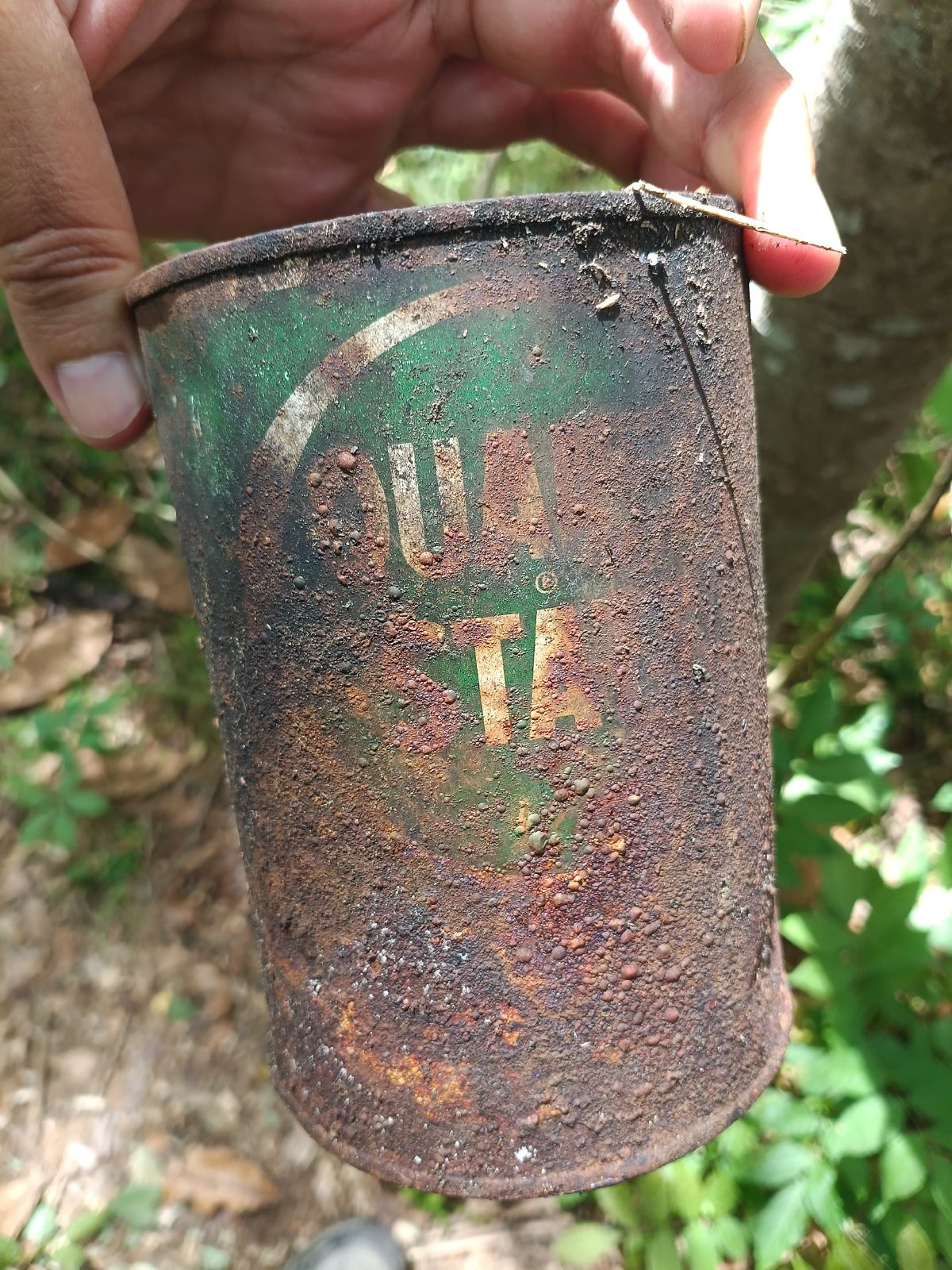 Nature trail restoration progress