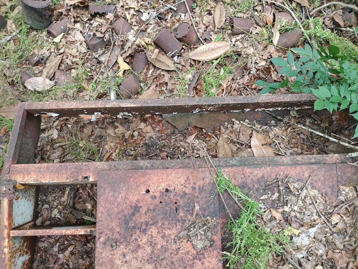 Nature trail restoration progress