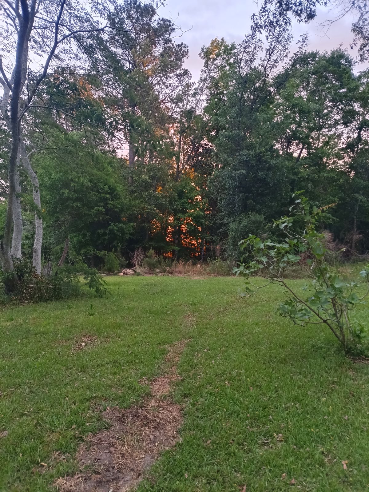 Nature trail restoration progress