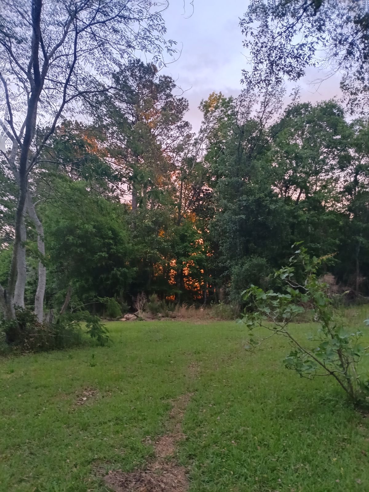 Nature trail restoration progress