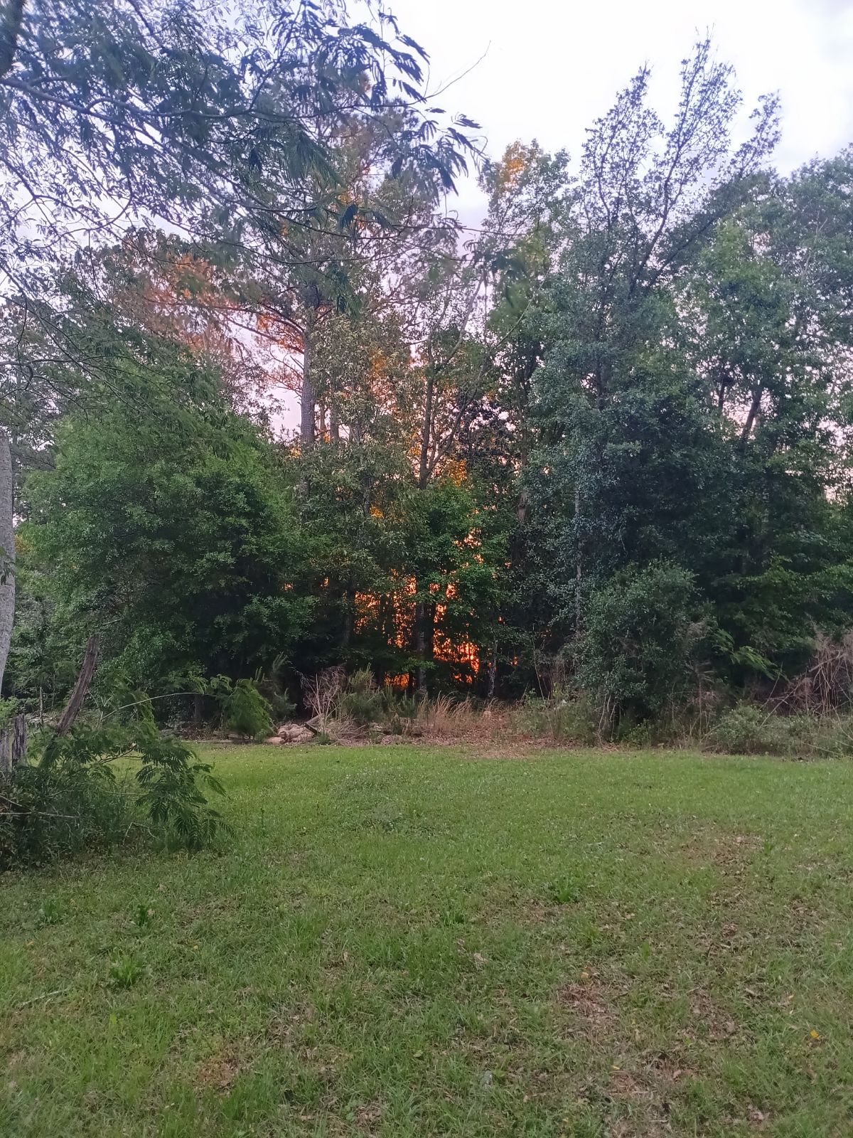 Nature trail restoration progress