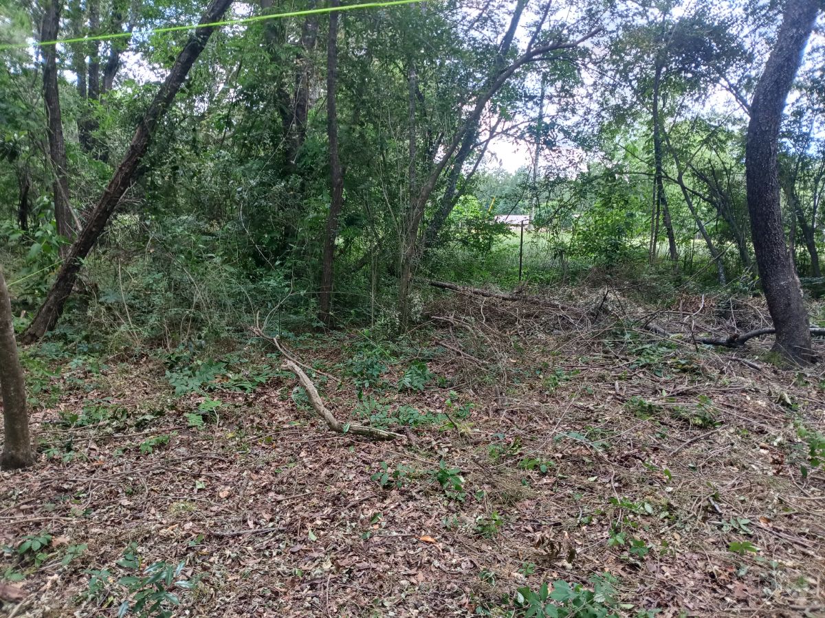 Nature trail restoration progress