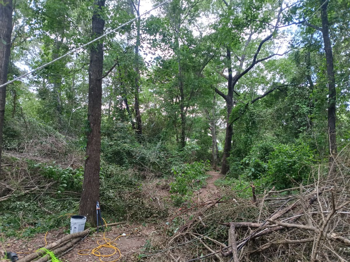 Nature trail restoration progress