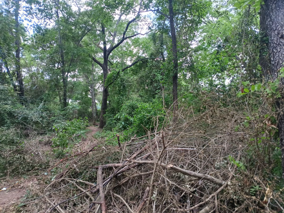 Nature trail restoration progress