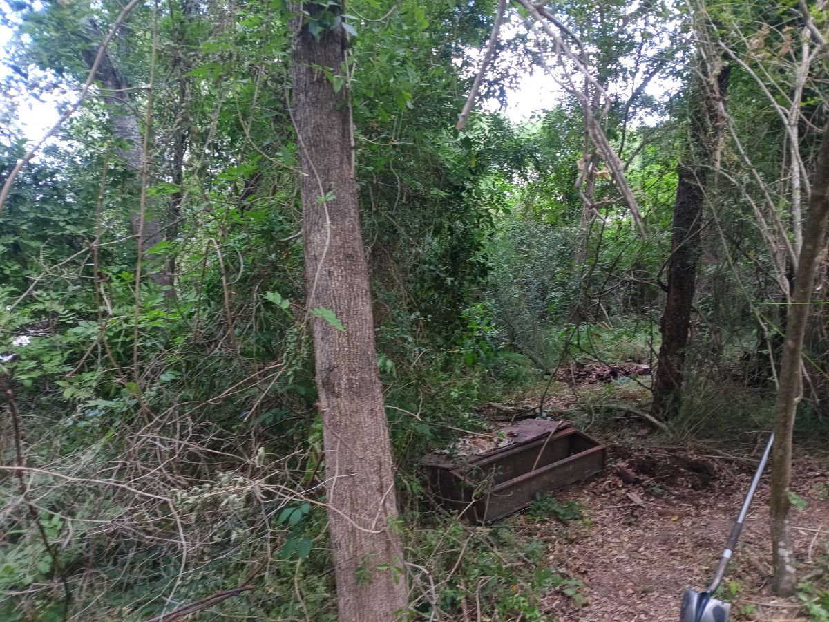 Nature trail restoration progress