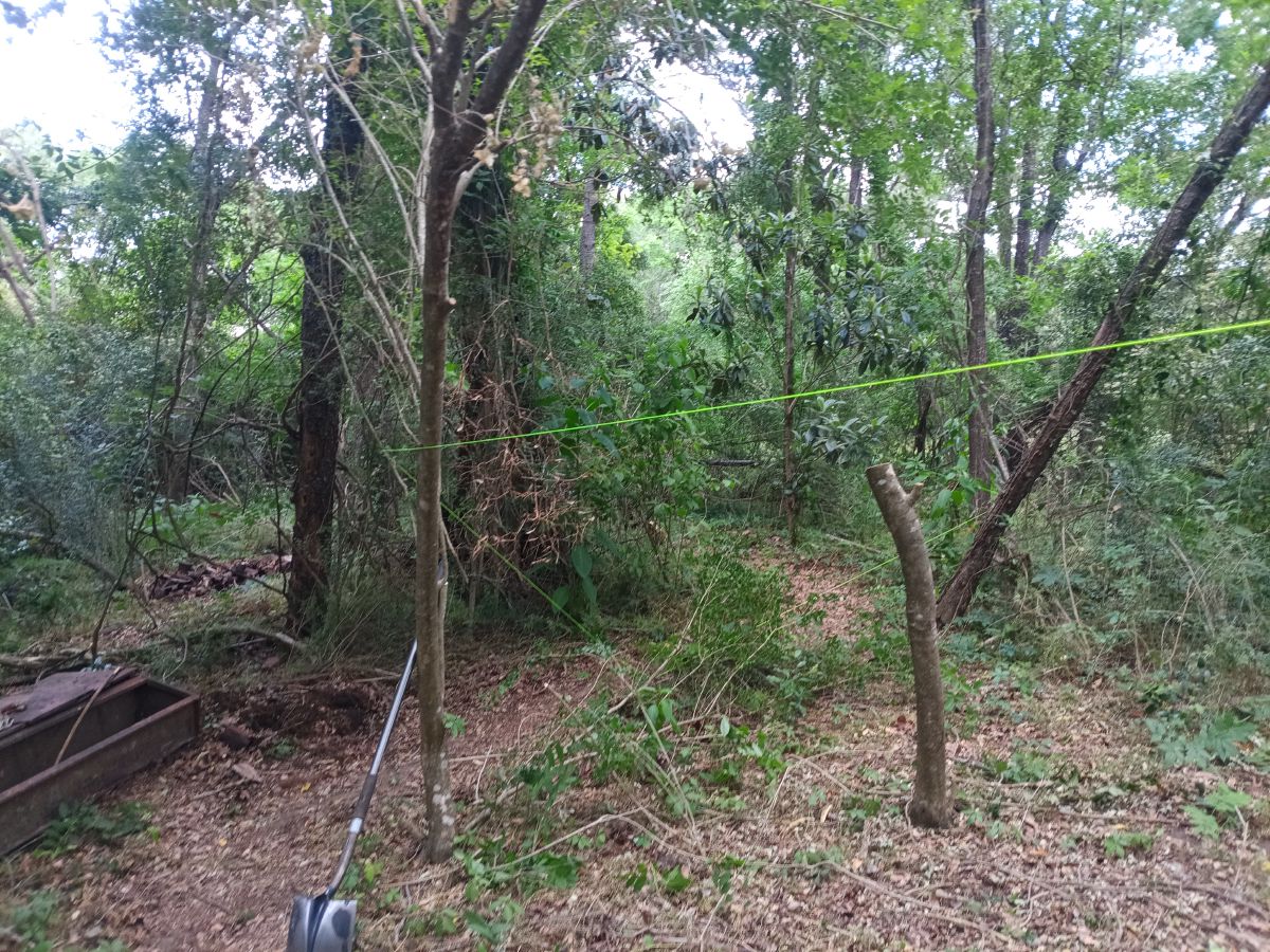 Nature trail restoration progress