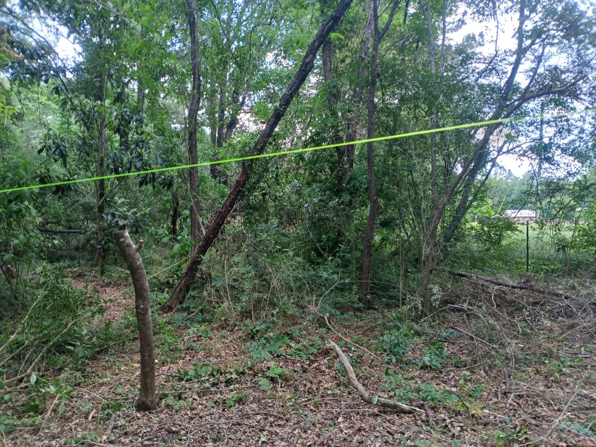 Nature trail restoration progress