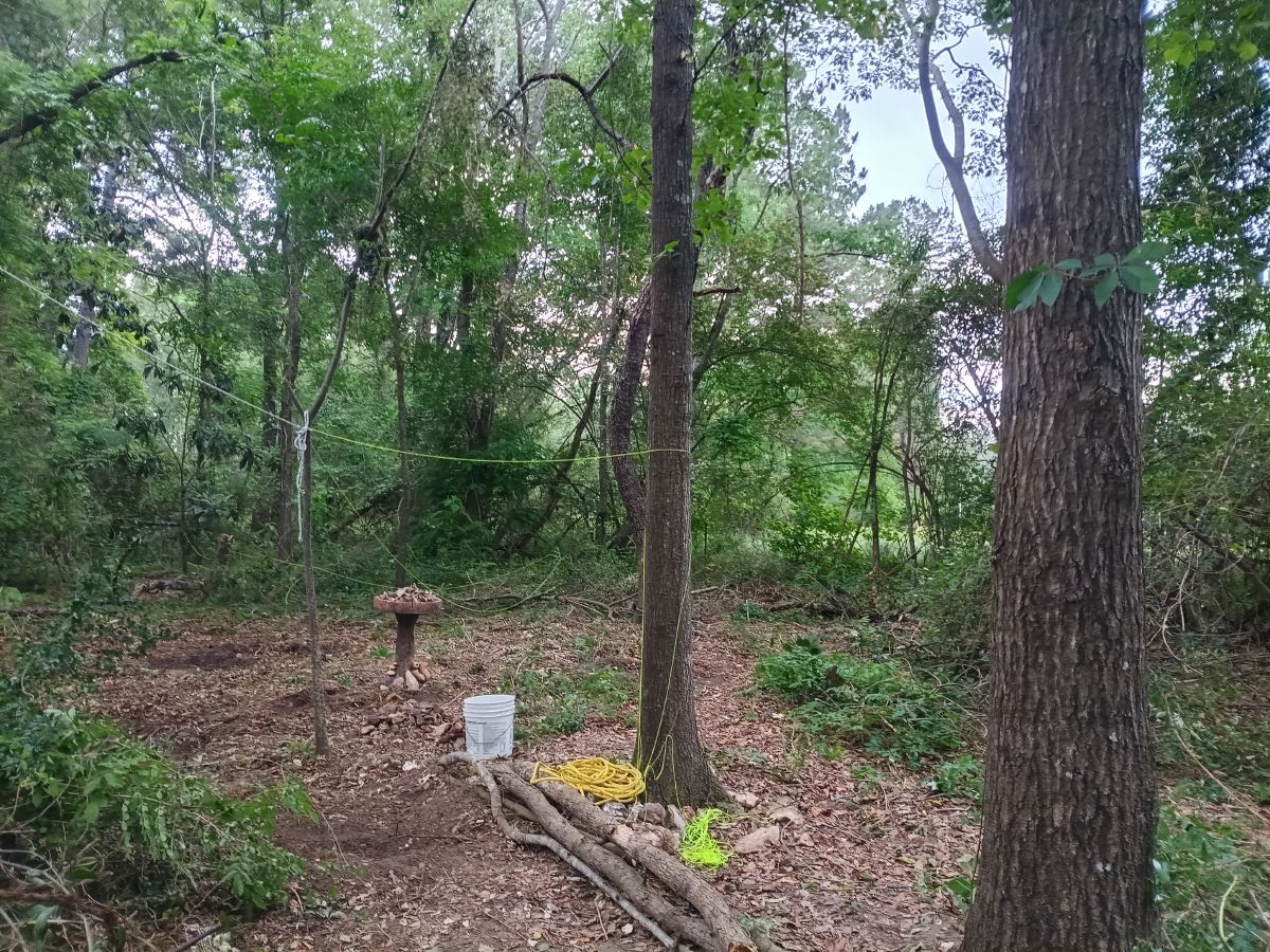 Nature trail restoration progress