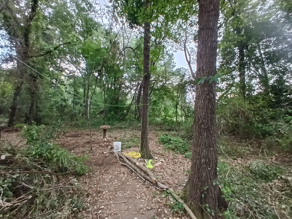 Nature trail restoration progress