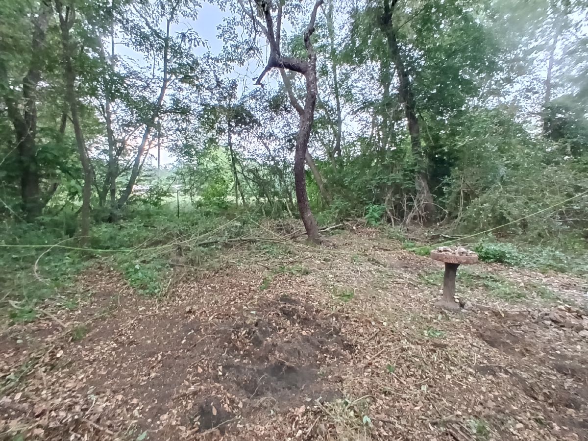 Nature trail restoration progress
