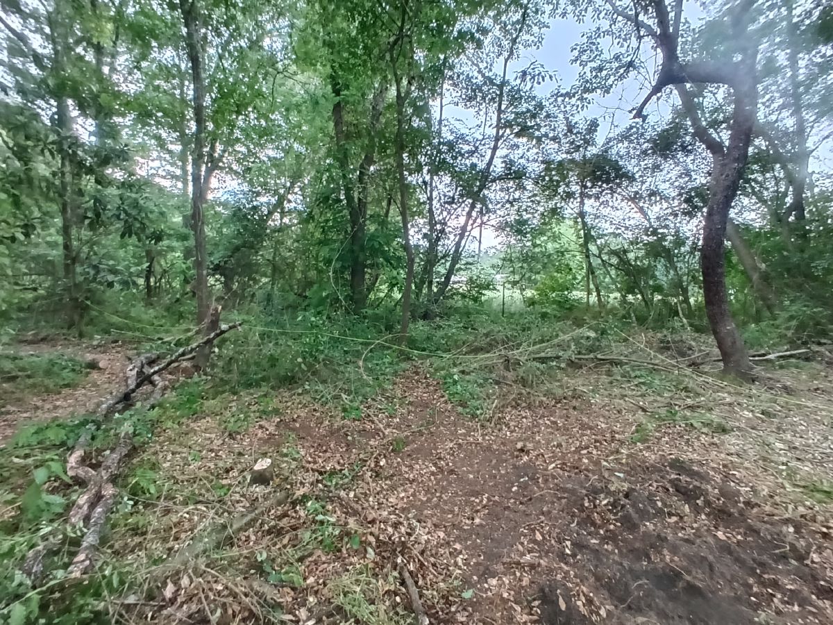 Nature trail restoration progress