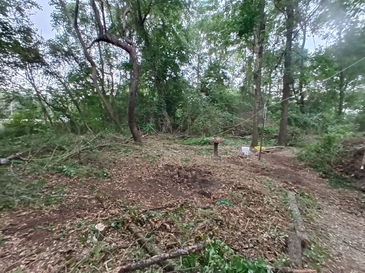 Nature trail restoration progress