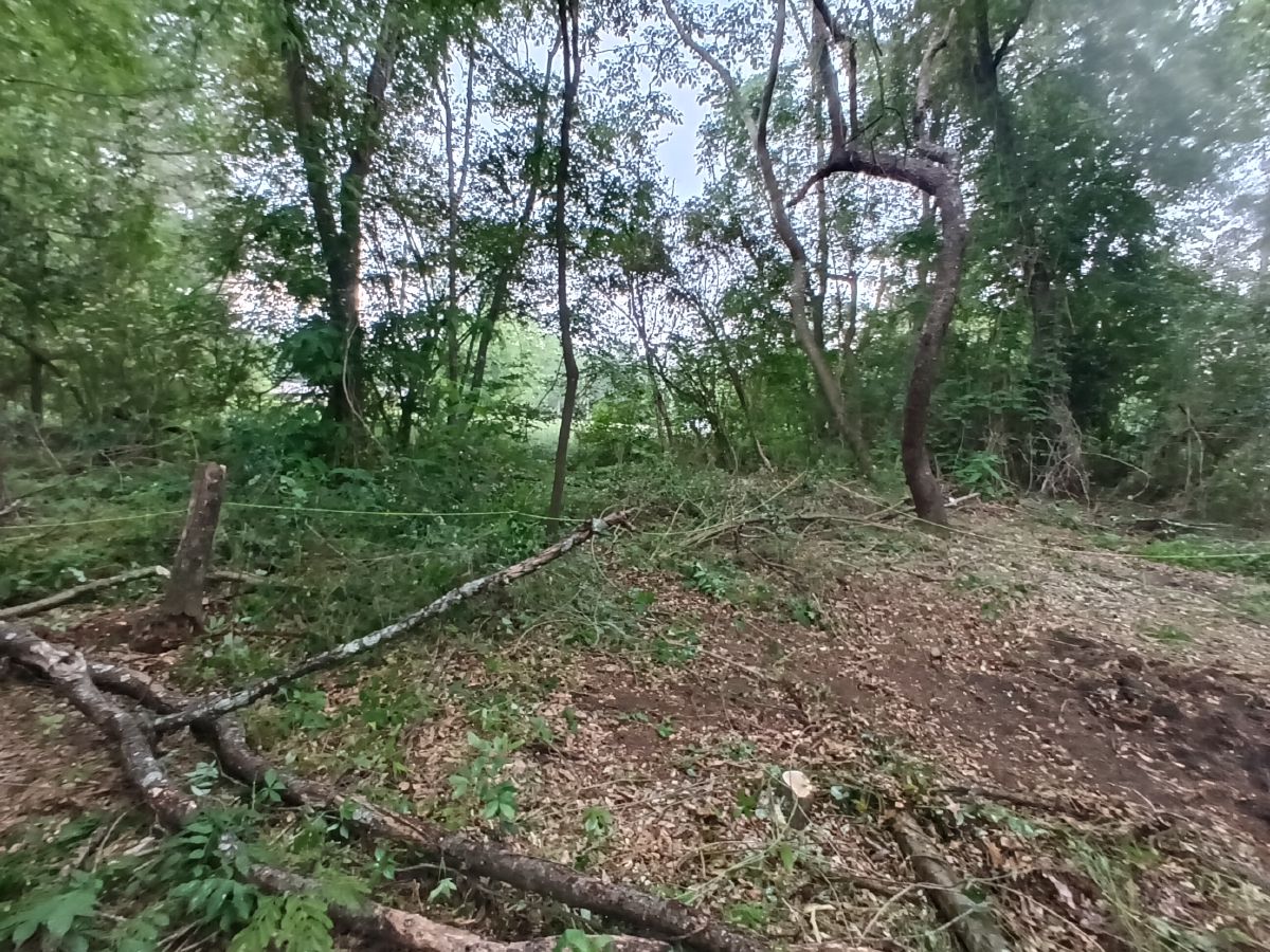 Nature trail restoration progress