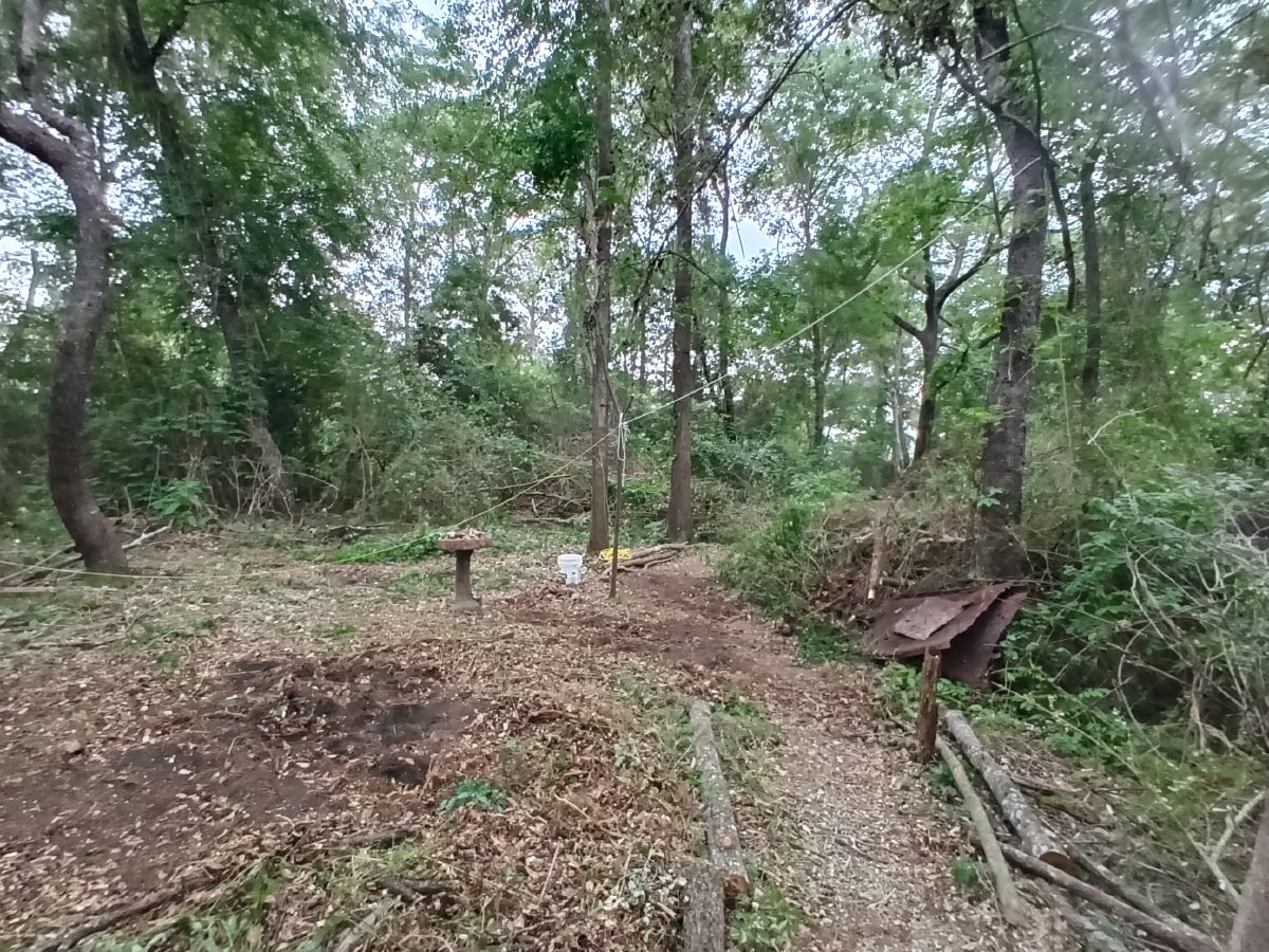 Nature trail restoration progress
