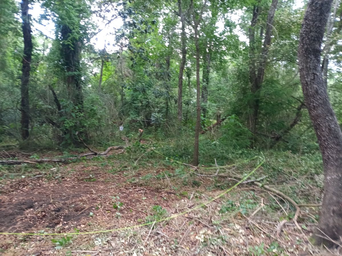 Nature trail restoration progress