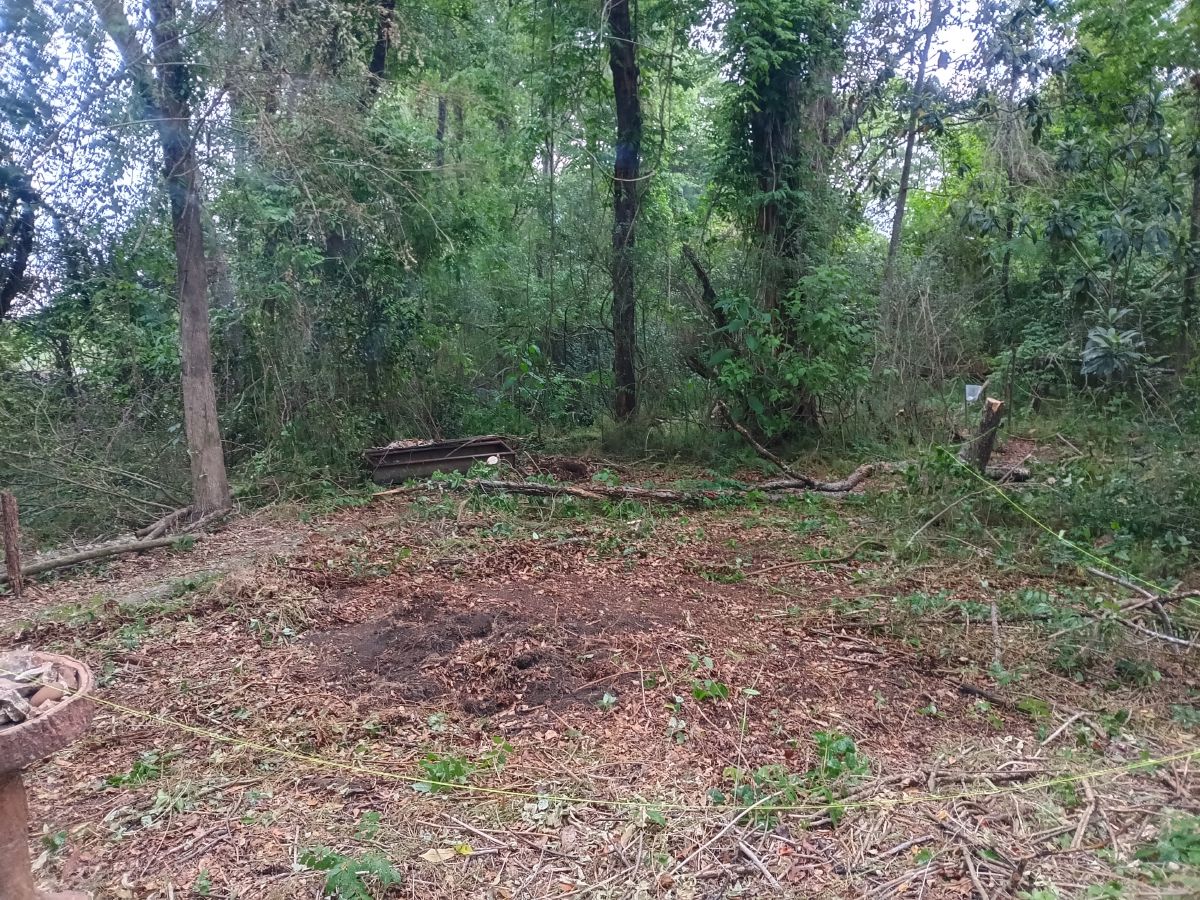 Nature trail restoration progress
