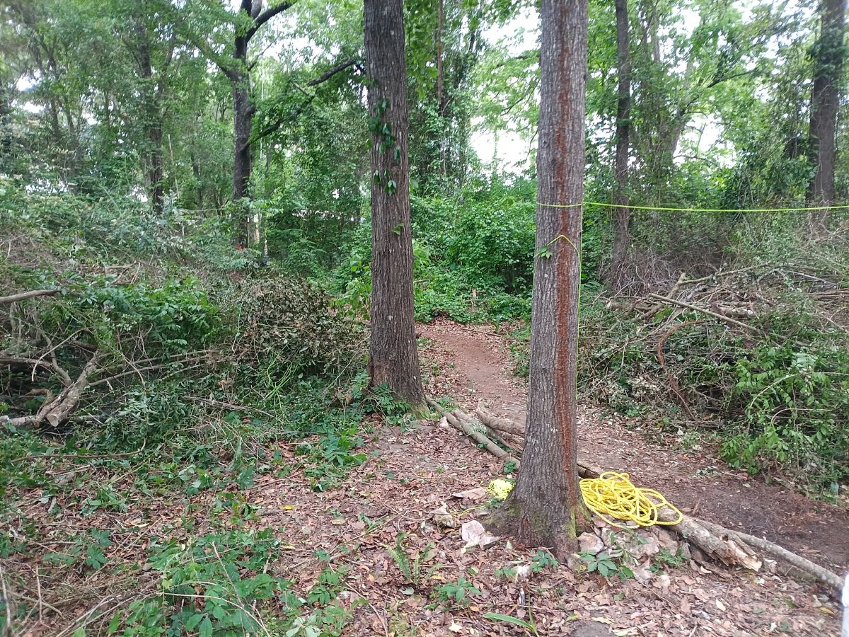 Nature trail restoration progress
