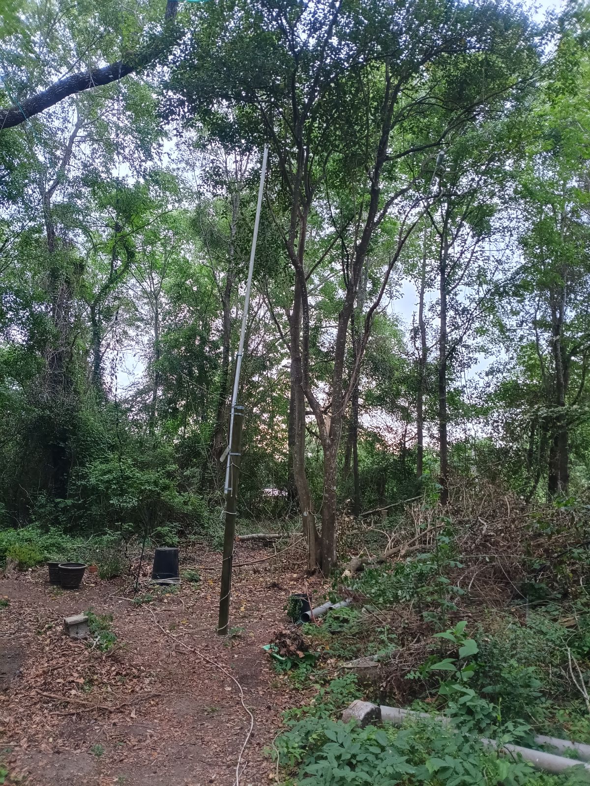 Nature trail restoration progress