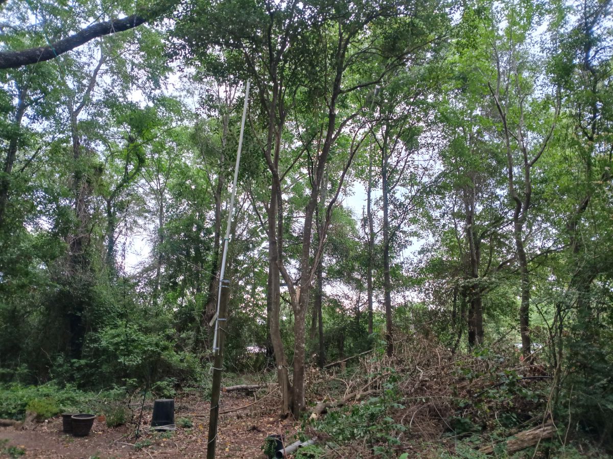 Nature trail restoration progress