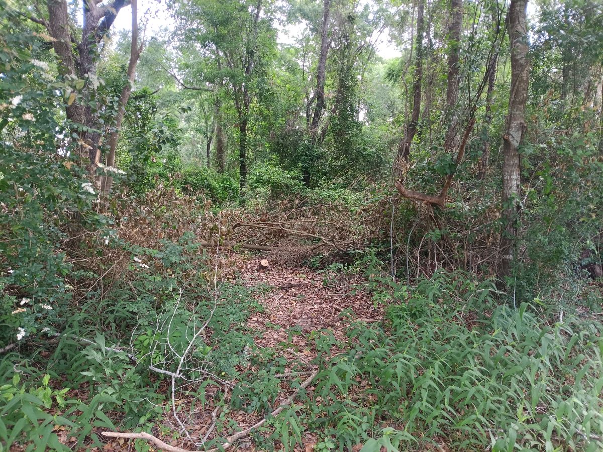 Nature trail restoration progress