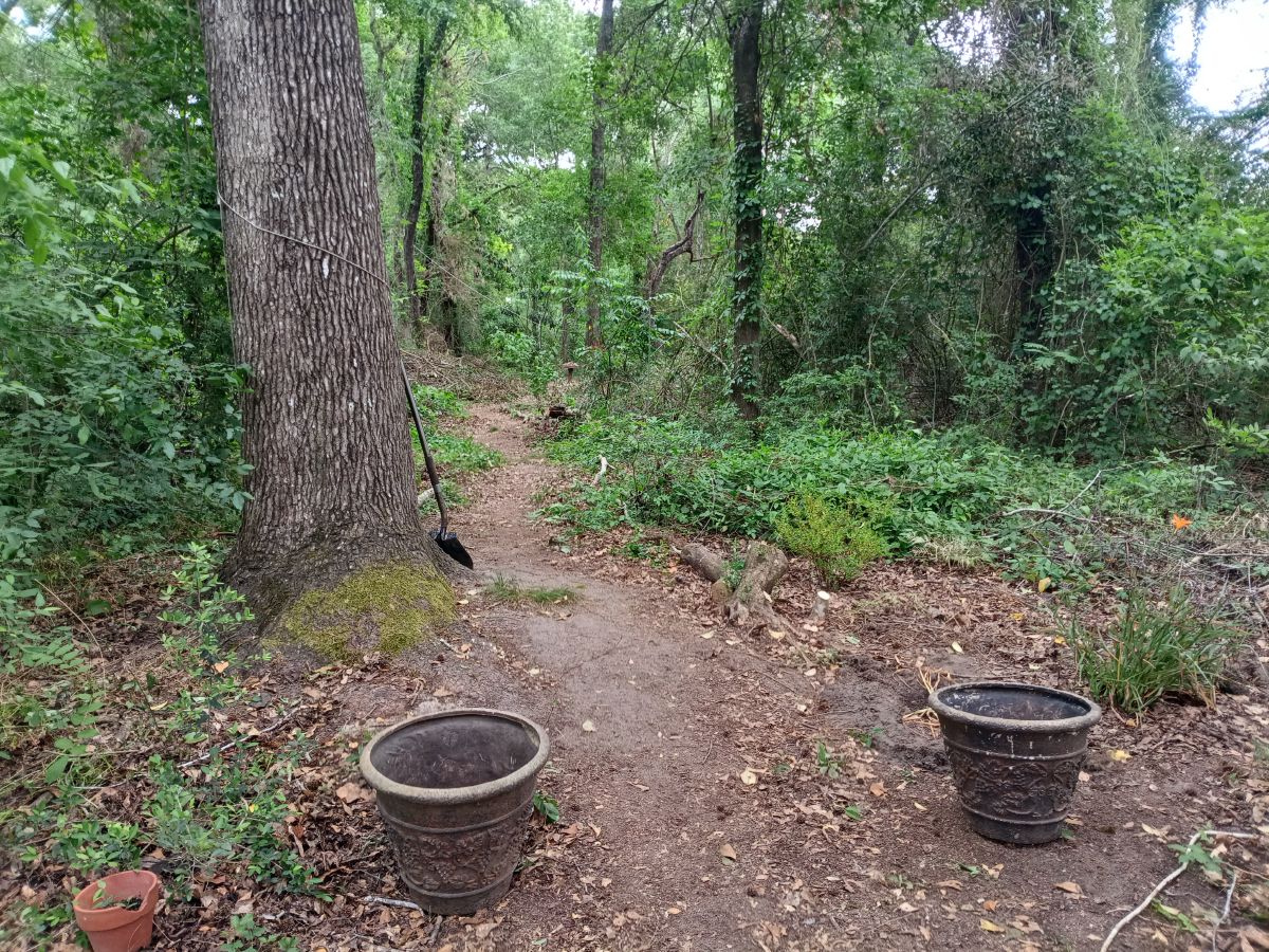 Nature trail restoration progress