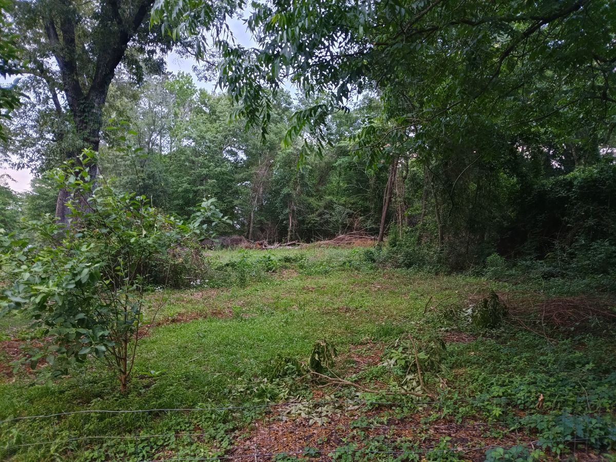 Nature trail restoration progress