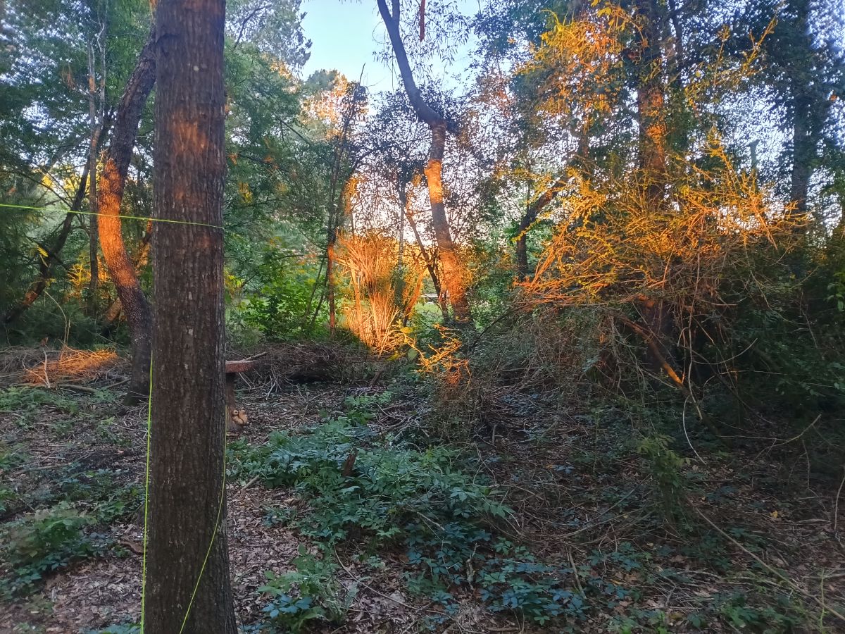Nature trail restoration progress