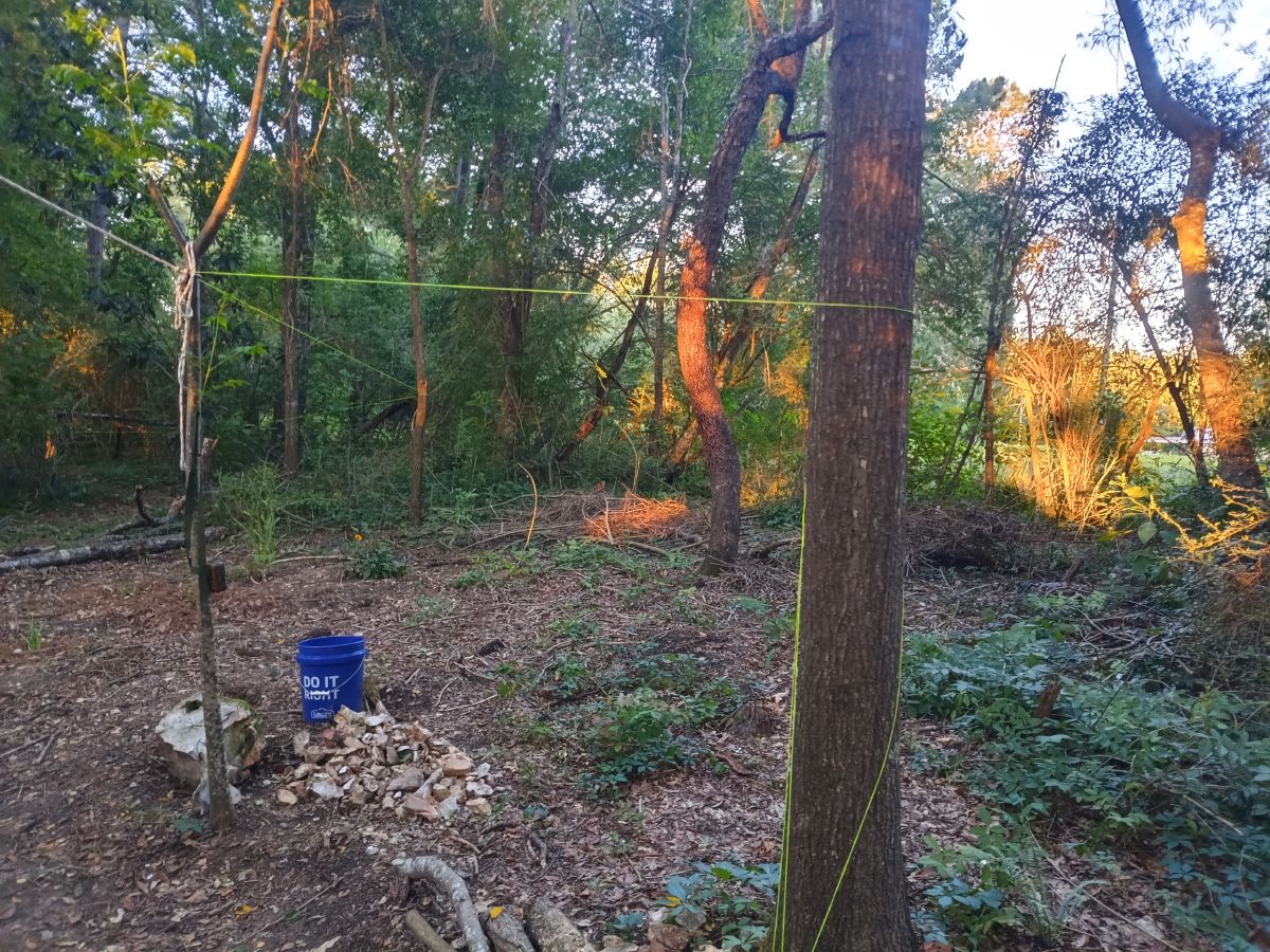 Nature trail restoration progress