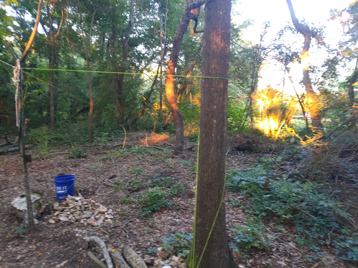 Nature trail restoration progress