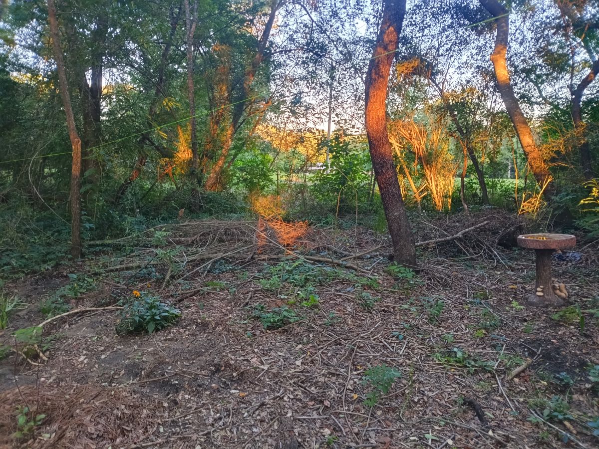 Nature trail restoration progress